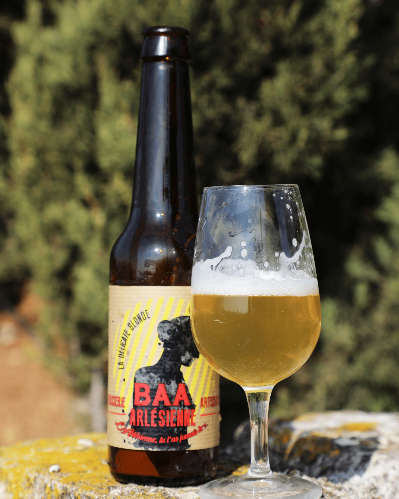 vente d'agneau Arles-foin de Crau Moules-vente a la ferme Arles-location de gite Camargue-elevage de brebis dans la Crau-vente de viande d'agneau Alpilles